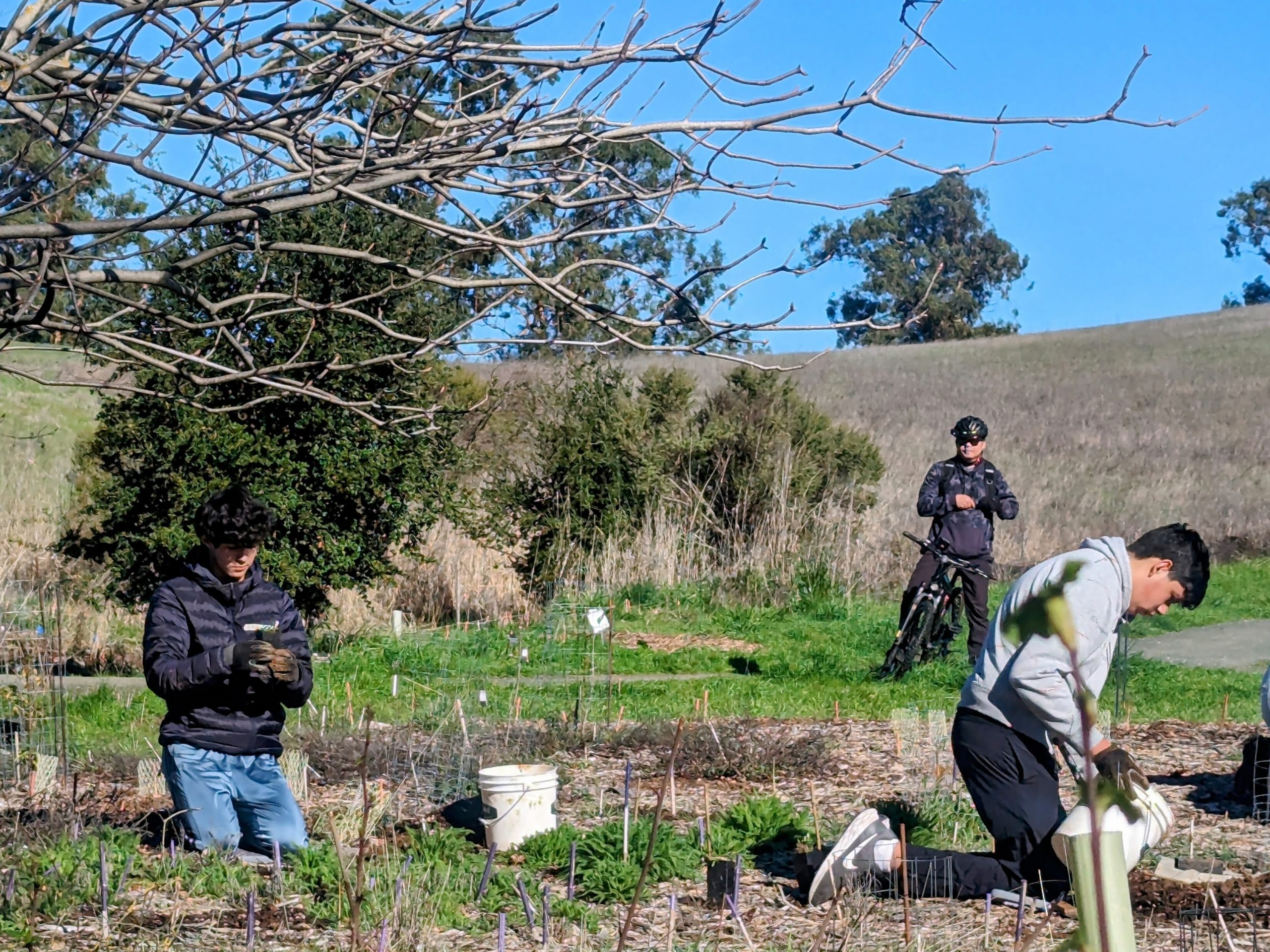 Working With Grassroots Ecology