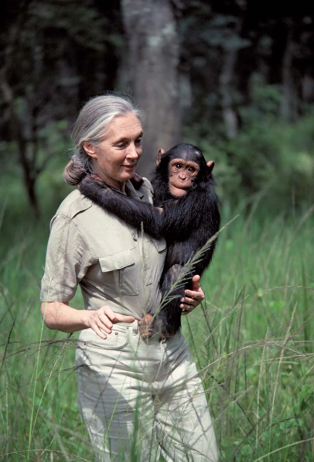 Jane Goodall