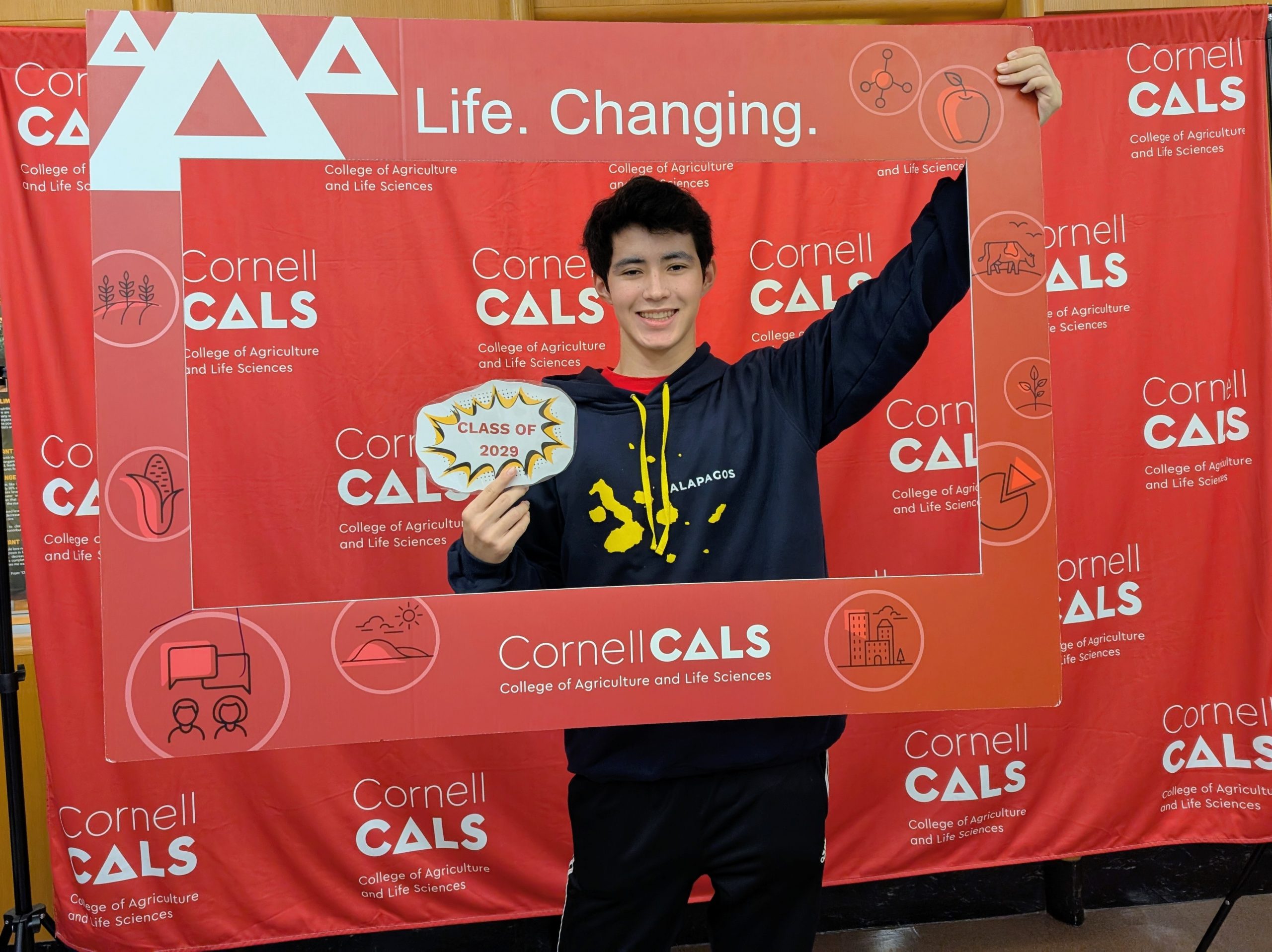 My Cornell Experience